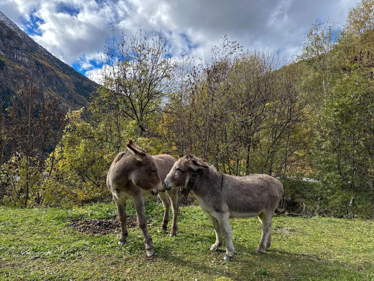 Cozyloge, Orelle & Les 3 Vallees Kültér fotó